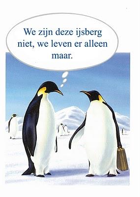 gilwell-pinguins